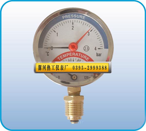 其它壓力儀表7