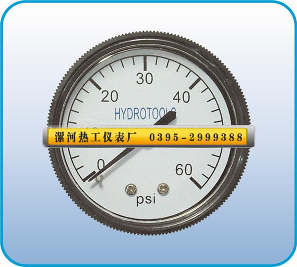 其它壓力儀表10