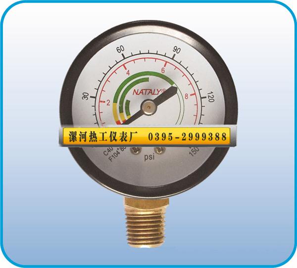 其它壓力儀表13