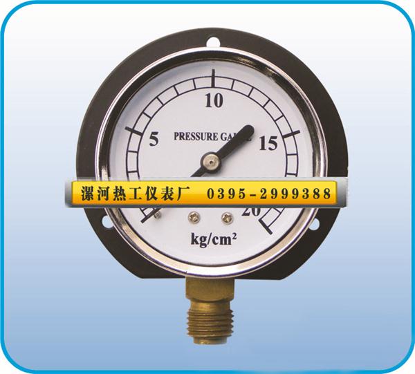 其它壓力儀表21